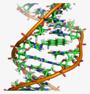 Ethidium Bromide Dna Structure - 400x400 PNG Download - PNGkit