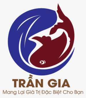 Bộ Bình Ly Pha Lê Sứ Đúc Vàng Hoa Mai Quà Tặng Vip - Rci Colombia Compañia De Financiamiento