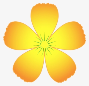 Nam Canh Hoa Mai - Hoa Mai Clipart