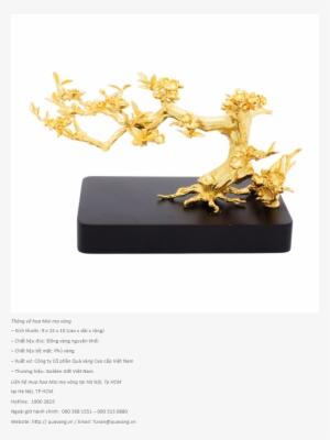 Quà Tặng Sếp Nữ - Ochna Integerrima