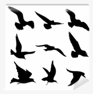 Flying Birds Silhouettes Illustration Wall Mural • - Sagome Uccelli In Volo