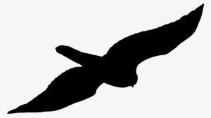 Open - Thumbnail