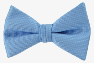 Picture Of Romance Sky Blue Bow - Paisley