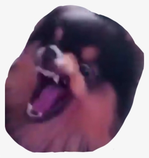 Yeontan Angry Dog Bts Meme Rage - Yeontan Memes