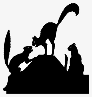 Cats Fighting Silhouette Png