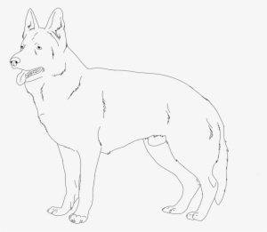 Showing Picture How To Draw An Angry Dog - Outline Of A German Shepard