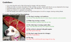 3 Collecting Datasets - Companion Dog