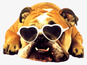 It's M - Happy 40th Birthday Graphics