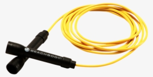 Insanity: The Asylum Workout Program [dvd]