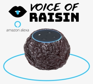 Voice Of Raisin Echo Dot