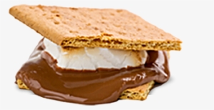 Everything You Need - Marshmallow