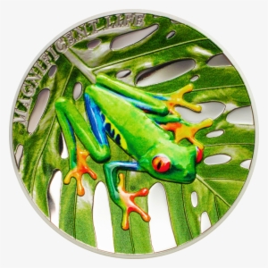 Tree Frog - Silver