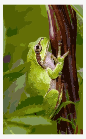 Clipart Resolution 1476*2400 - Japanese Tree Frog, For The Love Of Nature: Blank 150