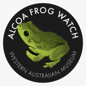 Alcoa Frog Watch - Frog
