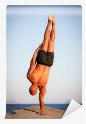 Physical Fitness