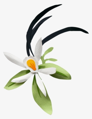 Purple Flower - Clip Art