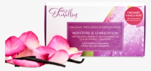 Romantically Vanilla Rose Vaginal Moisturizing & Lubricating - Suppository