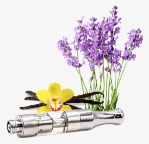 Cannabidiol