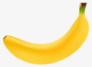 Banana Peel Realistic
