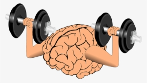 It Was A Nice, Fall Day Here On Long Island, And It's - 筋 トレ 脳 の 活性 化