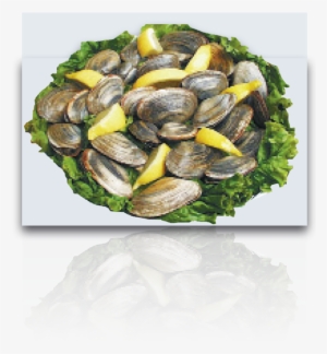 Mussel