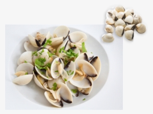Clams, White - Hard Clam