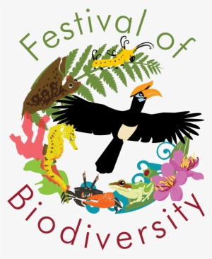 My Tweets - Festival Of Biodiversity 2018