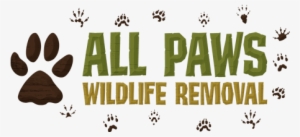 All Paws Wildlife