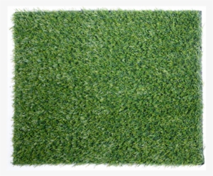 Grass - Thoresby Artificial Grass - Green / 5m
