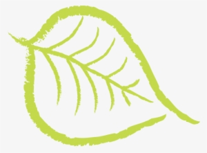 Carrot, Apple, Ginger Health Benefits - Drawing