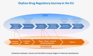 The Following Graph Shows All The Stages Of The Centralised - Dinastia De Los Antoninos