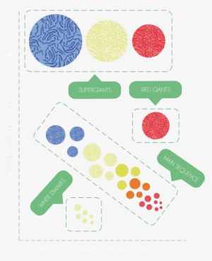 This Diagram Is Crucial For A Deeper Understanding - Circle