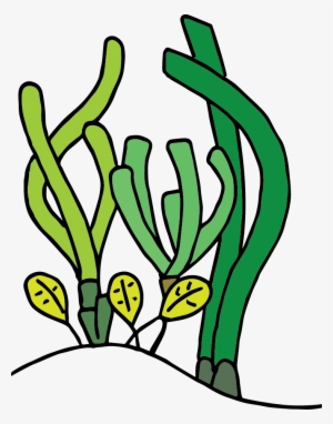 Sea Grass Clipart Transparent - Portable Network Graphics