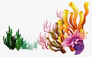 0 10b410 Cf4f4af7 Orig - Fondo De Algas Marinas