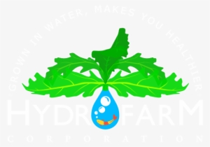 Hydrofarm Corporation - Corporation