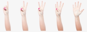 Hand Gestures Png