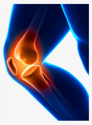 Best Choice, Dr. Recommended Knee Brace Support