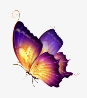 Butterfly Png Transparent Image - Purple Yellow Butterfly
