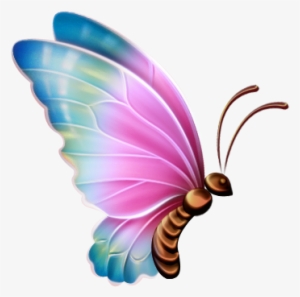 Nice Butterfly Transparent Background Butterfly Clipart - Butterfly Clipart Transparent Background