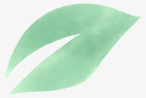 Image Module - Construction Paper