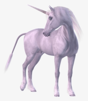 Unicorn Mythical Creatures Mane White Horn - Unicornun Kaç Boynuzu Var