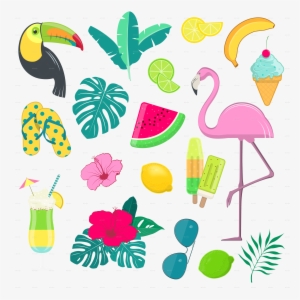 Summer Vector Png - Vector Graphics