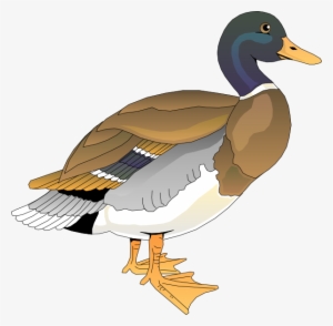 Walking Duck 2 Svg Clip Arts 600 X 588 Px