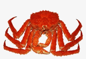 Free Png Crab Png Images Transparent - Crab Cooked Transparent
