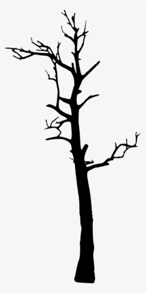 Free Png Dead Tree Silhouette Png Images Transparent - Silhouette
