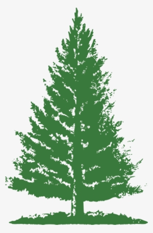 Pine Tree Png Green
