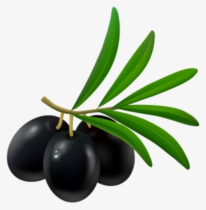 Olive Clipart Amp Look At Olive Clip Art Images - Black Olives Png