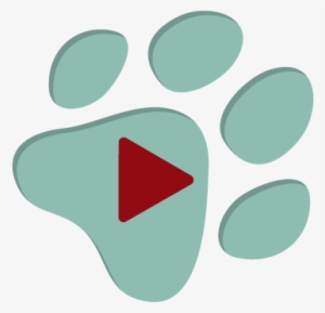 Paw Print Fundraising Software Review Video Play Button - Software
