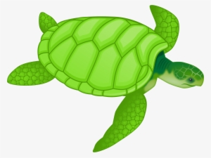 This Free Icons Png Design Of Green Sea Turtle