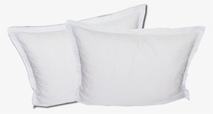 Dry Cleaning Of Pillows